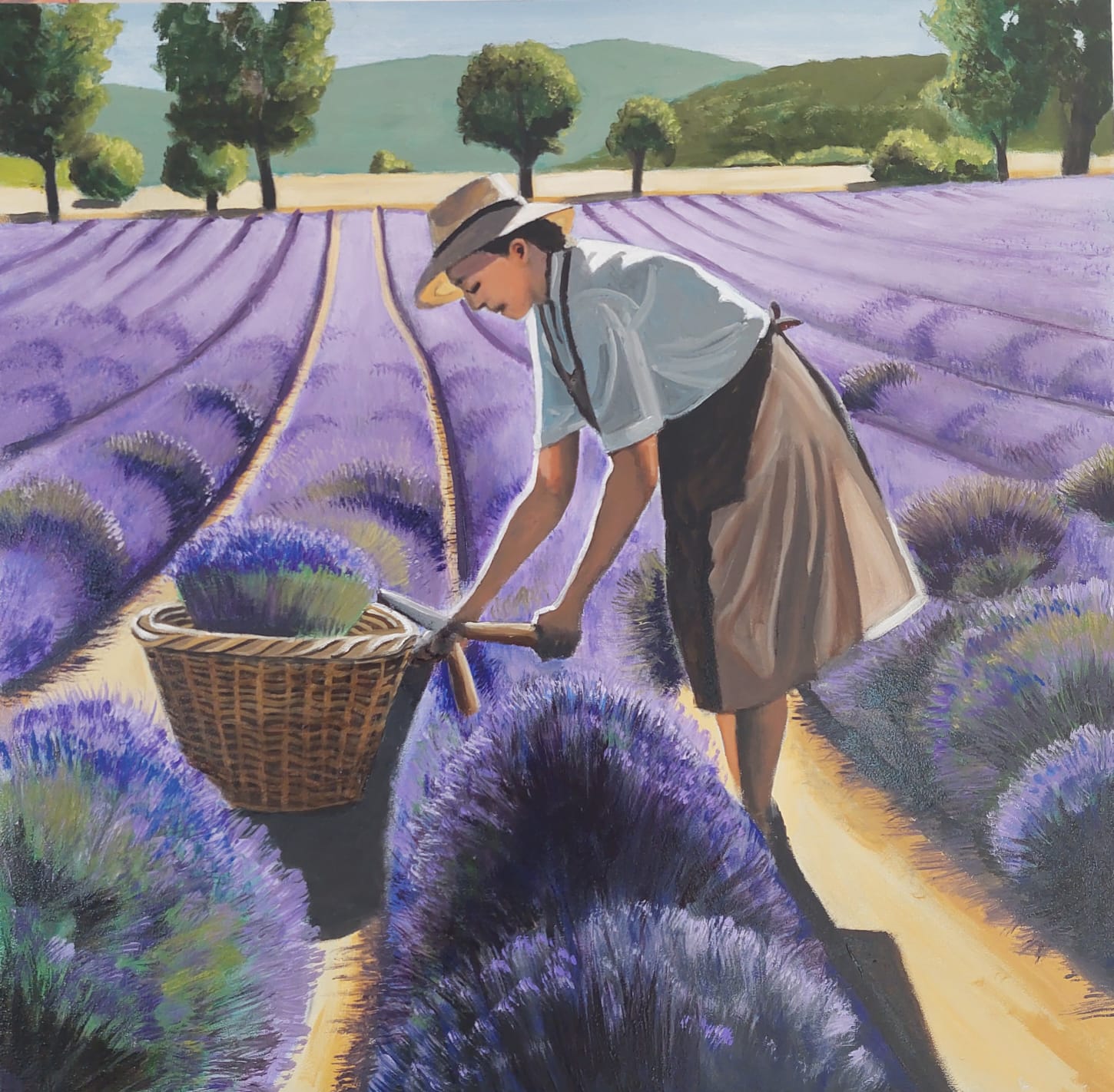 Violet Fonce En Provence